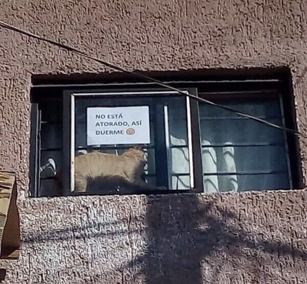Meme_otros - Para no preocupar a los transeuntes
