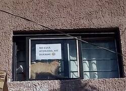 Enlace a Para no preocupar a los transeuntes