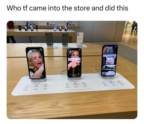 meme,gato,móviles,tienda