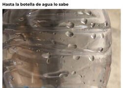 Enlace a ¿Sabías qué...?