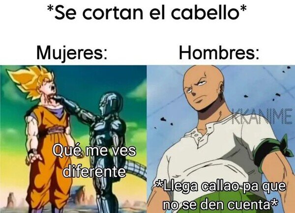 Meme_otros - Tras un corte de pelo