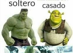 Enlace a La vida en verde