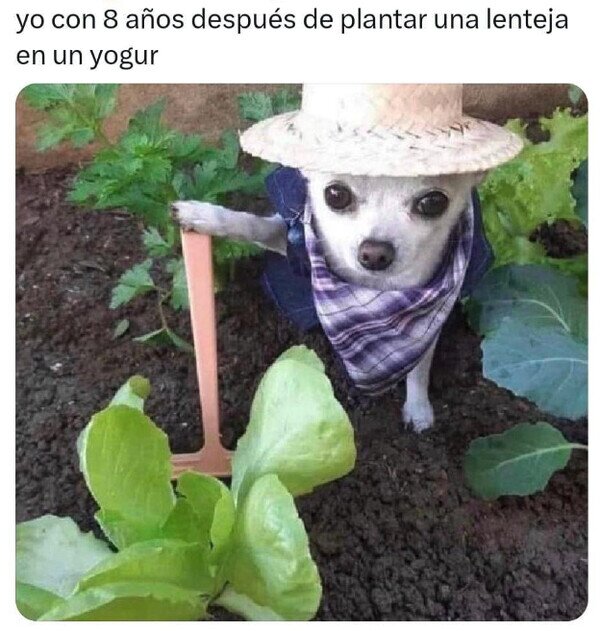 Meme_otros - Me siento agricola