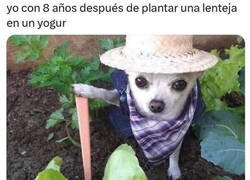 Enlace a Me siento agricola