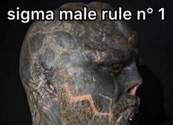 Enlace a Algunos sí siguen la norma