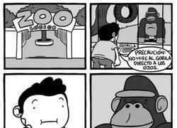 Enlace a El gorila que te encandila