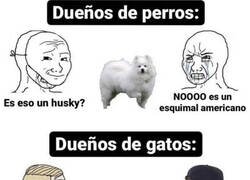 Enlace a Dueños de perros vs dueños de gatos