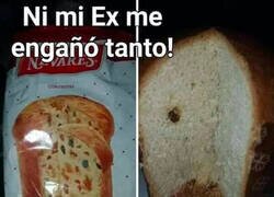 Enlace a Esta gente debería arder en el infierno