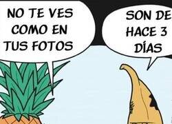 Enlace a A mí no me la cuelas