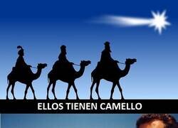 Enlace a Cada uno es feliz con su camello