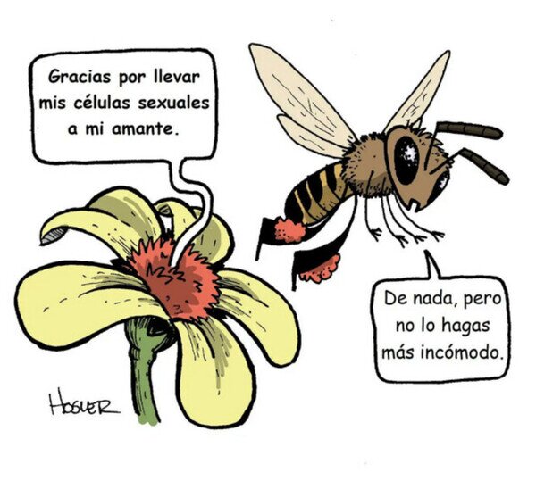 Otros - Pensándolo así es bastante creepy