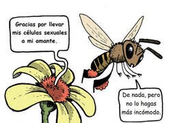 Enlace a Pensándolo así es bastante creepy