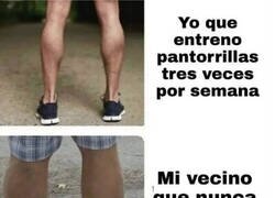 Enlace a Tanto bote de proteínas para nada