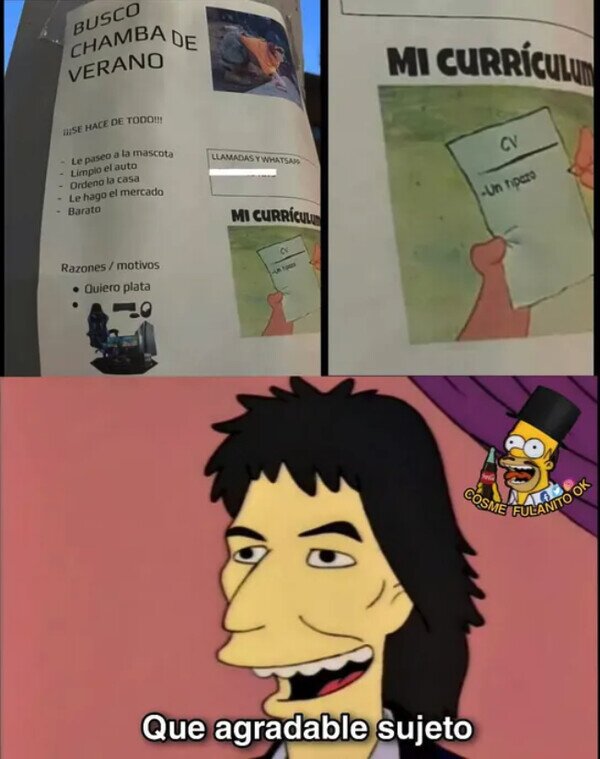 Meme_otros - Buscando trabajo mal