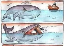 Enlace a Así nacen los submarinos