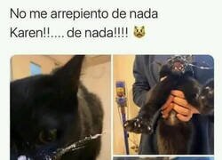 Enlace a Se volvió loco el Michi