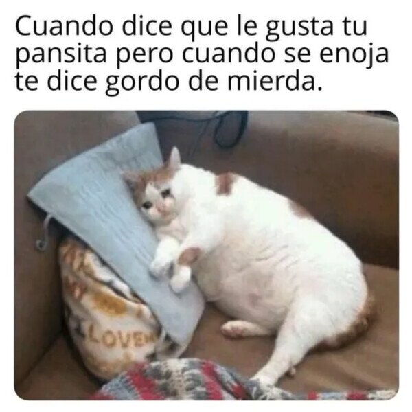 Otros - No le gusta tanto como decía