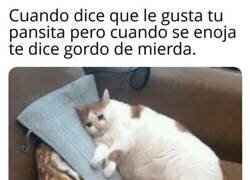 Enlace a No le gusta tanto como decía