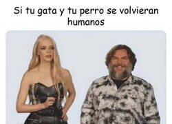 Enlace a Así serían