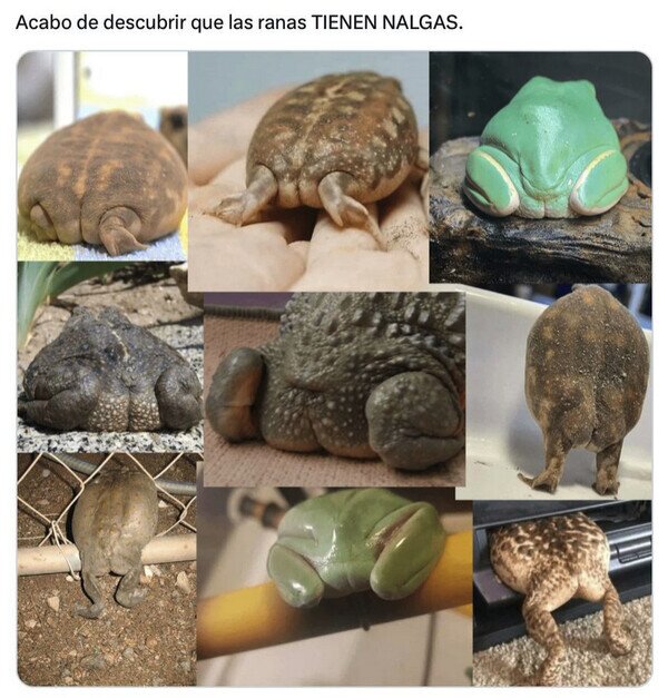 Meme_otros - El dato que necesitabas