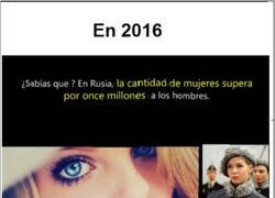 Enlace a Nadie va a la guerra por un cho***