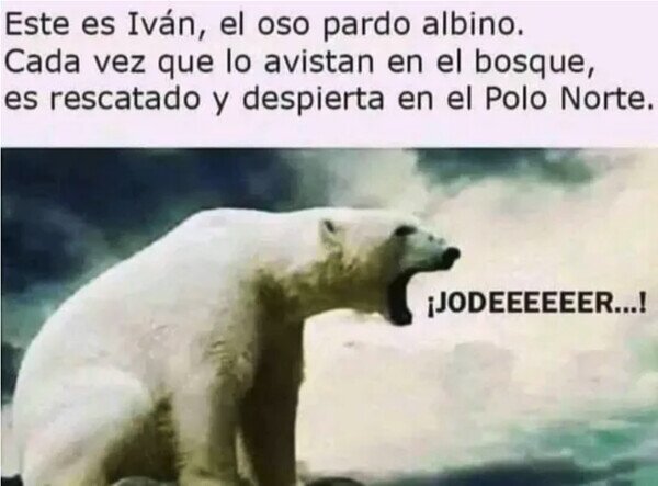 Otros - El pobre oso Iván