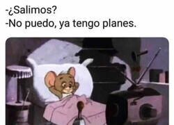 Enlace a Tengo plan con la manta