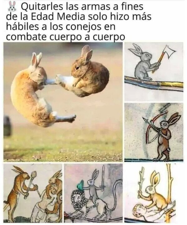 Meme_otros - No te metas con los conejos