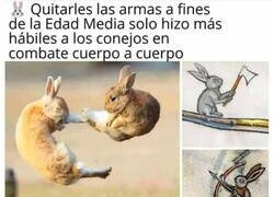 Enlace a No te metas con los conejos