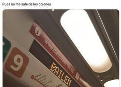 Enlace a No acato órdenes