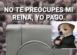 Enlace a En realidad solo quería presumir de cartera