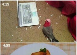 Enlace a Por pasarse de listo