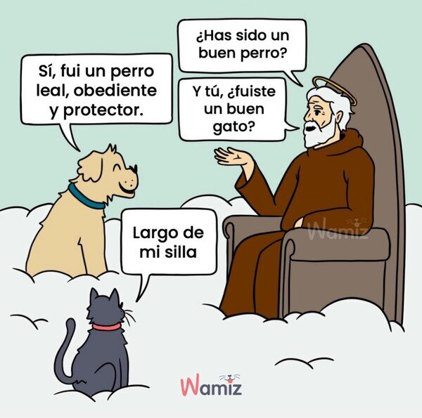Otros - Mascotas llegando al cielo