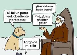 Enlace a Mascotas llegando al cielo