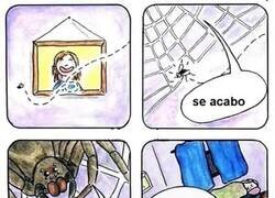 Enlace a Y tú odiando a las arañas