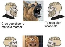 Enlace a Nunca te fíes