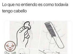 Enlace a Todo el pelo que pierdo