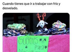 Enlace a Esas son las caras