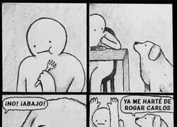 Enlace a Llega un día que uno se cansa