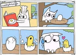 Enlace a Cambio de planes