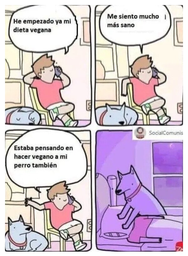 Meme_otros - Él no tiene la culpa