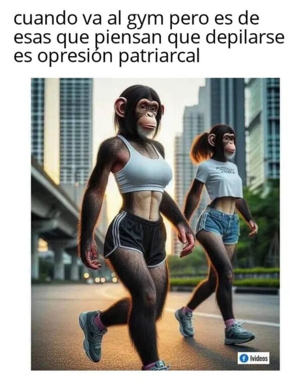 Meme_otros - Qué monas...