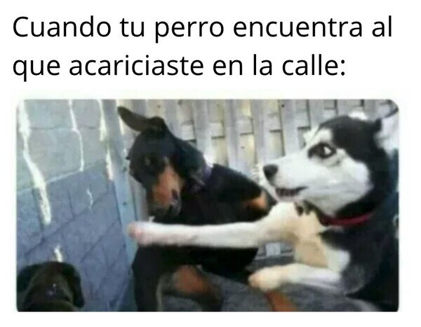 Otros - El Firulais se puso celoso