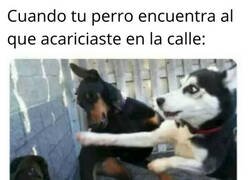 Enlace a El Firulais se puso celoso