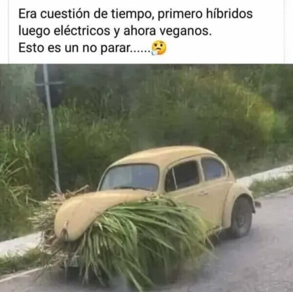 Otros - Los coches veganos ya están aquí