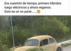 Enlace a Los coches veganos ya están aquí