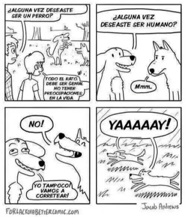 Meme_otros - Debe ser genial ser un perro