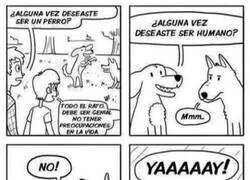 Enlace a Debe ser genial ser un perro