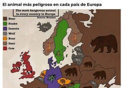 Enlace a Los peligros que nos acechan