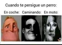 Enlace a Sería realmente extraño